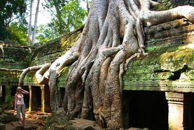 Day 12: Visit Of Angkor Thom - Bayon Temple - Terrace Of The Elephants - Angkor Wat Temple (Breakfast, Lunch)